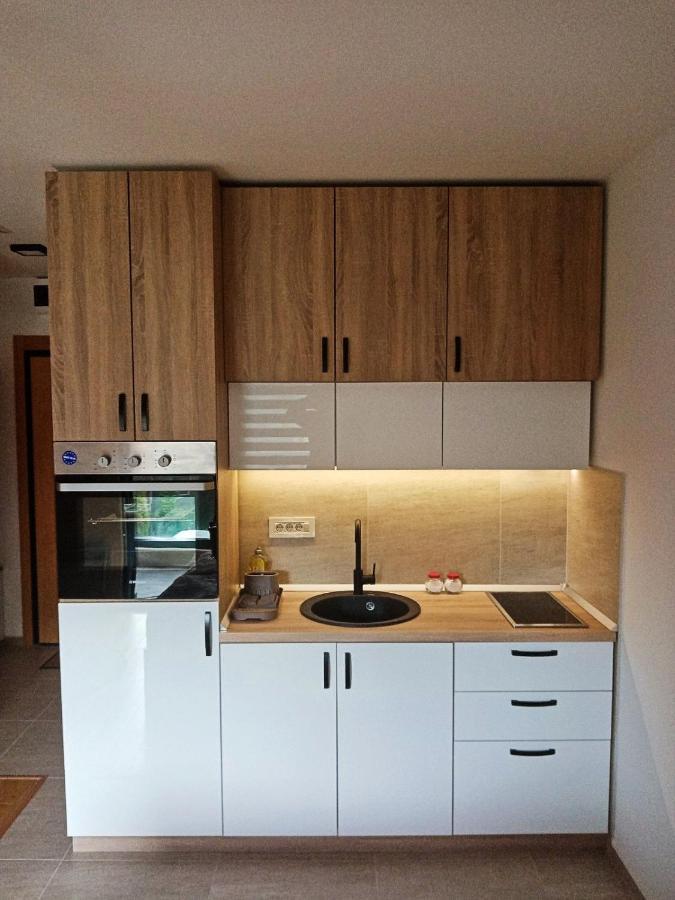 Studio Apartman Gorski Kristal Zlatibor Bagian luar foto